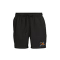 29 Splash Electric Shorts